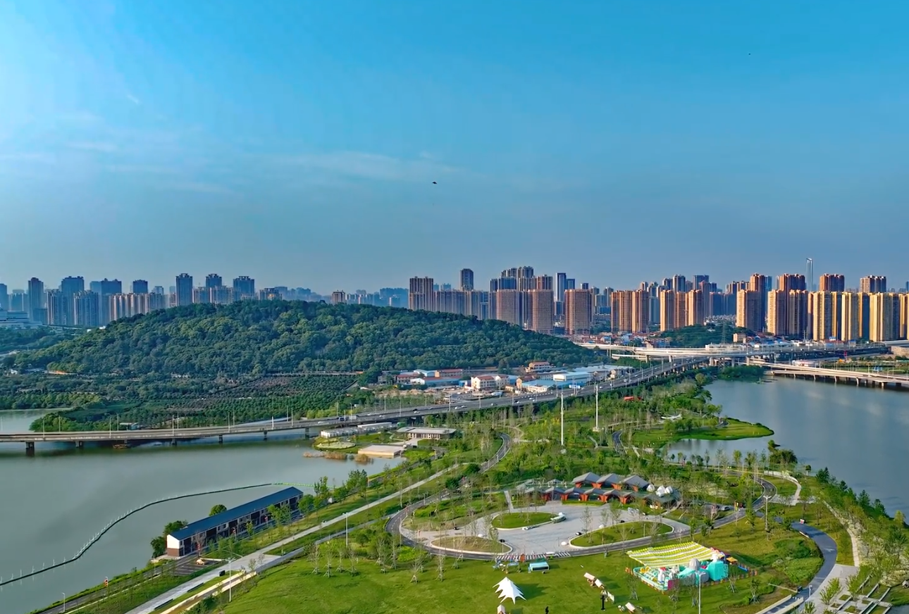 人文气息与智能科技的结合的智慧公园，研学园、禅茶园、静思园，武汉龙阳湖公园焕新颜，